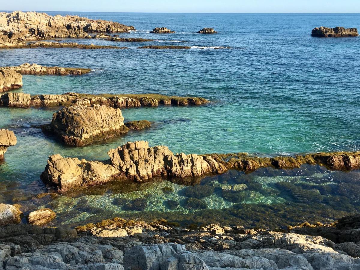 Artistic Appartement Antibes